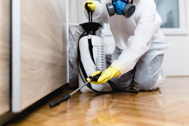 Best Pest Control Treatment  in North Shore, VA