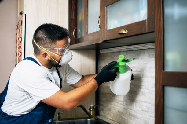 Pest Prevention Services in North Shore, VA