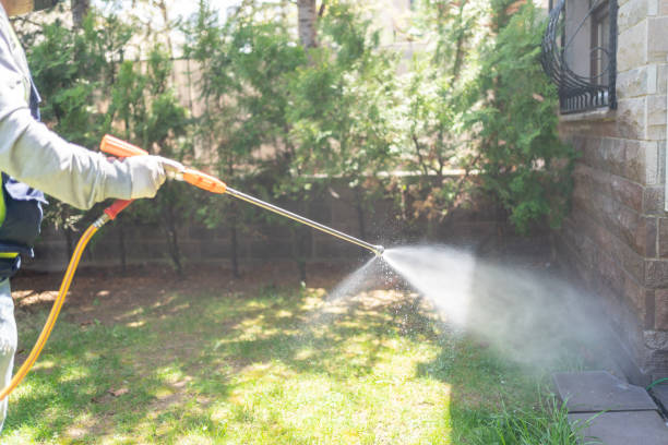 Best Pest Removal Services  in North Shore, VA