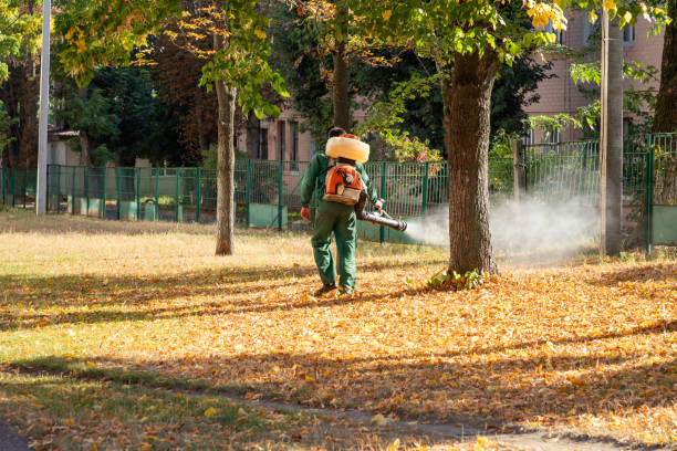 Best Residential Pest Control  in North Shore, VA
