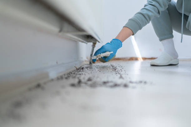 Trusted North Shore, VA Pest Control Experts