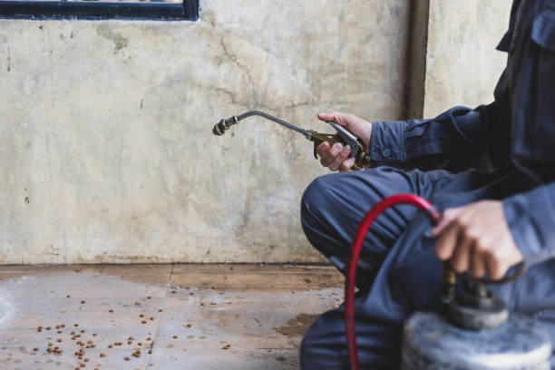 Best Best Pest Control Companies  in North Shore, VA